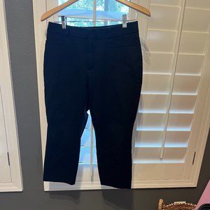Women's Size 6S Banana Republic Sloan Fit Cropped Black Pants